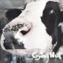 물밑목장 이미지