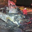 강정동-36 이미지