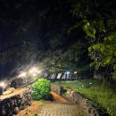 제주락