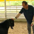 박영철농장 이미지