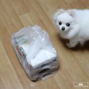 [내돈 후기] 1인피자 고피자 서울대점 배민 솔직후기