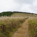 경주 무장산 &amp; 사룡굴,단용굴 이미지