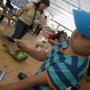 화성사슴농장 이미지