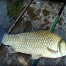 덕산주유소 이미지