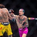 스테이조제 이미지