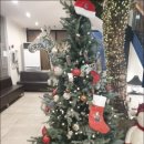 도쿄하나 등촌점 이미지