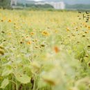 오천골프연습장 이미지