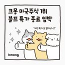 이노웍스홀딩스 | ⏰ 블프 특가 종료 임박 ⏰