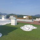 샤롯데부동산공인중개사사무소 이미지