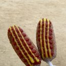 용문산 관광지 | 2025년 양평 용문산 산나물 축제 후기 봄 축제 추천 (feat. 2026년 일정 포함)