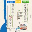 아이비매점 티스토리