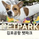 (주) 하늘펫 | 김포공항 펫파크 강아지 산책 운동장