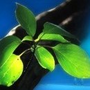 (주)암코에스 이미지