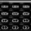정상화농장 이미지