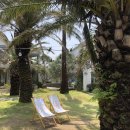 치유동물병원 이미지