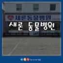 새론동물병원 이미지