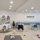 우리동네 펫 이미지