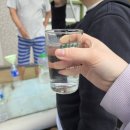 산골흙집 | 머리식히러 산속에 들어갔다 왔다(feat. 영월 산골흙집)