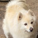 영해초등학교후문 이미지