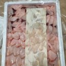 나로도삼치수산 이미지