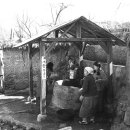 앵두나무우물가에 이미지