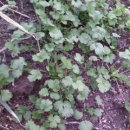 병현농장 이미지