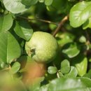 백남준로 이미지