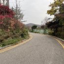 서초포레스타5단지 이미지