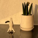 강남대로34길 8 이미지