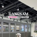 슬기로운 댕댕 유치원 이미지