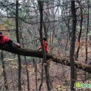 반포어린이집 이미지