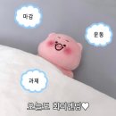 HS복싱 이미지