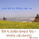 변산반도여행~ 유채꽃이 만발한 수성당과 채석강 이미지