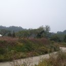 개군면사무소 이미지