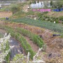 도안농장 이미지