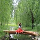 통나무숲속마을 이미지