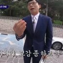 카페하양 이미지