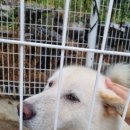 마리의부엌스테이 이미지