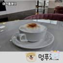 아크 플래닛 | 반려견과의 특별한 시간, 아크 플래닛 방문기 🐾