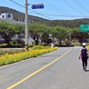 사회복지법인내원 마하재활병원 이미지