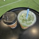 냥카페 묘연 이미지