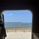 오지1리 마을회관 앞 이미지