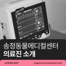 송정동물메디컬센터 이미지