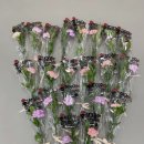 명진태권도장 이미지