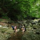 피서농장 이미지