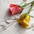 터닝포인트학원 - 화성시 동화새터길 98 | 터닝포인트학원