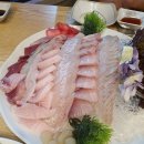 싱싱회관 네이버블로그