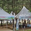 정이품송 공중화장실 이미지