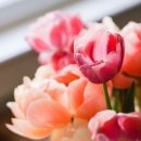 꿈마을도서관 이미지