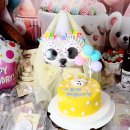 댕냥밥상 이미지